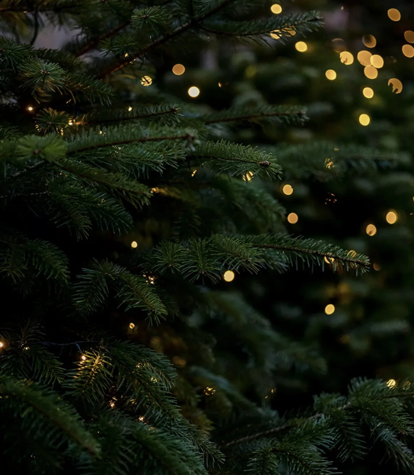 Christmas tree with fairy lights